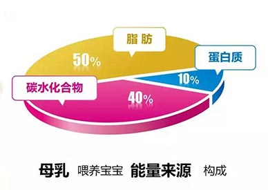 乳成分快速分析仪 超声乳成分快速分析仪-母乳是婴儿成长所需的营养和抗体